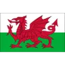 Wales U18队徽