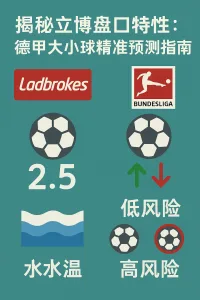 揭秘立博盘口特性：德甲大小球精准预测指南