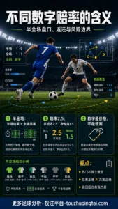不同数字赔率的含义：半全场盘口、返还与风险边界